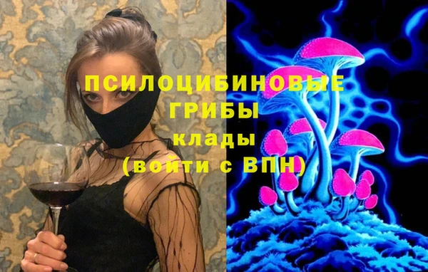 дурь Алексеевка