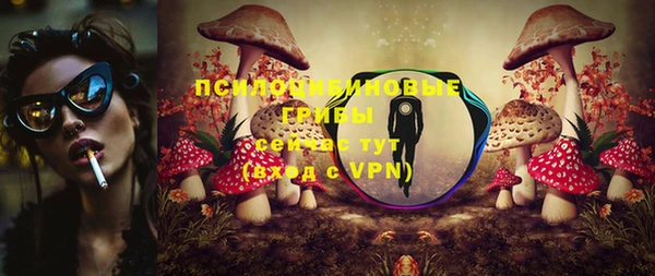 дурь Алексеевка