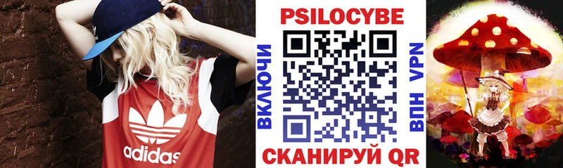 Псилоцибиновые грибы мицелий где найти Боровск